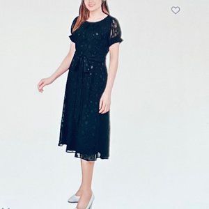 Elegant Black Lace Dress